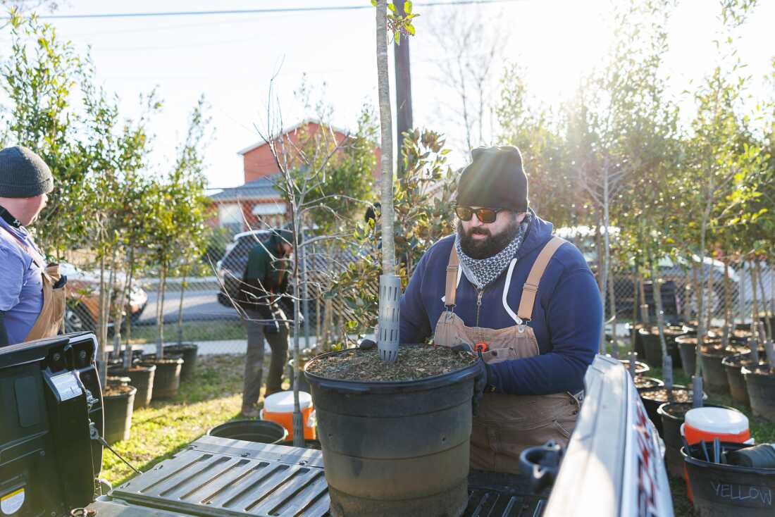 Volunteer James Herman gets ready to plant a tree in New Orleans’ Lower 9th Ward in January. The project was one of about a hundred nationwide chosen by the U.S. Forest Service and the Arbor Day Foundation to receive funding under a $75 million federal grant.