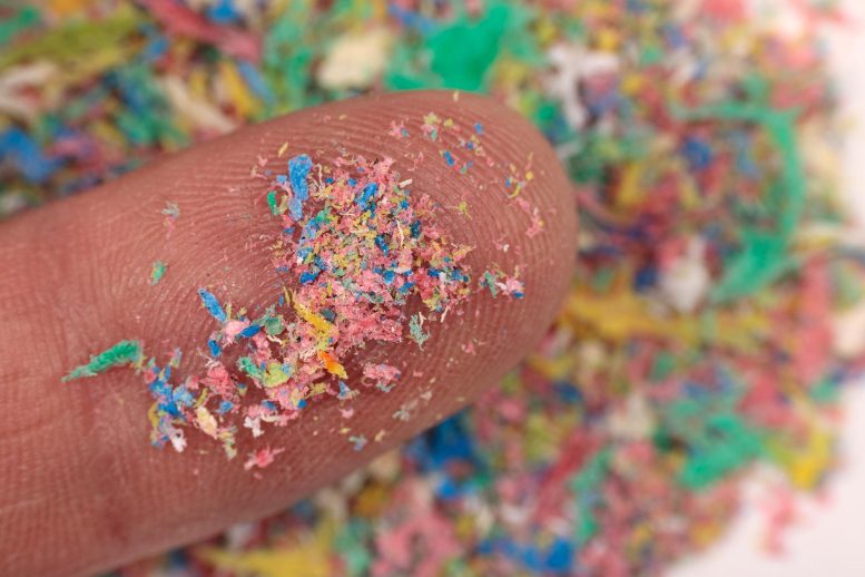 Microplastic Nanoplastic Pollution Fingertip