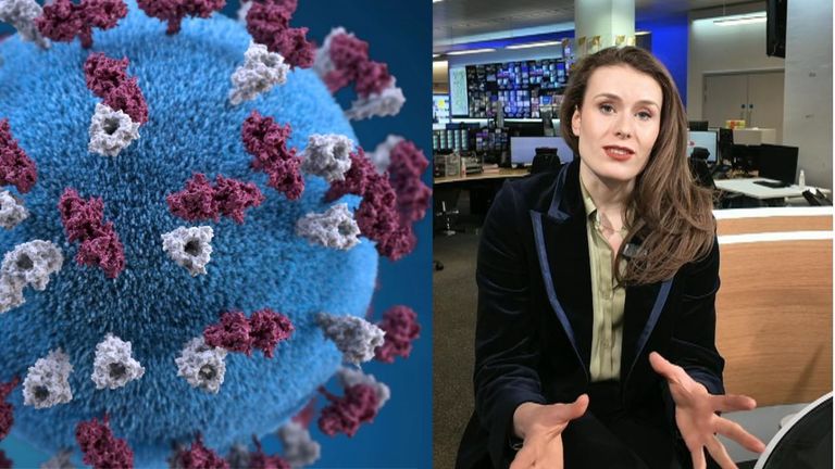 Measles is one of medicine's most contagious viruses and the World Health Organisation is urging government's to "act fast" as cases of the disease are on the rise.