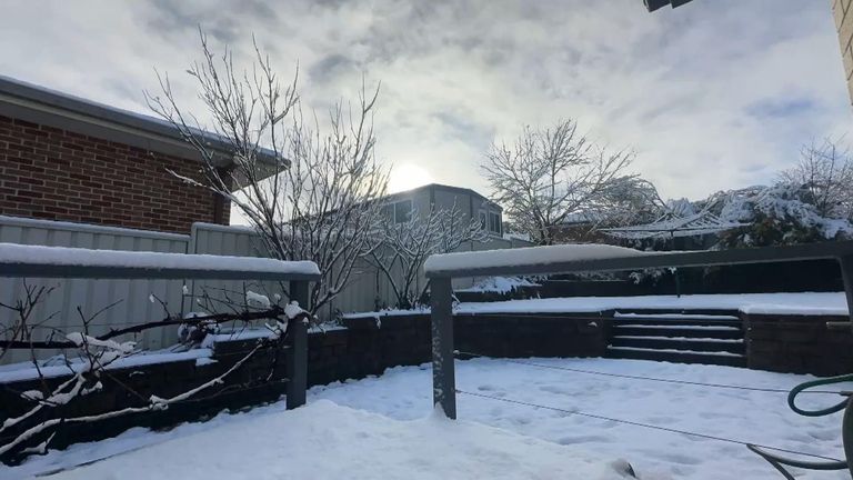 A snowy garden in Armidale, New South Wales