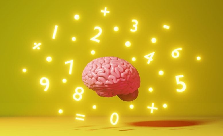 Math Brain