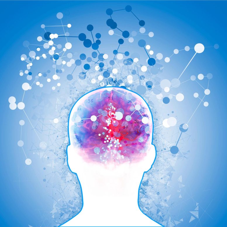Dementia Particles Alzheimer's Brain