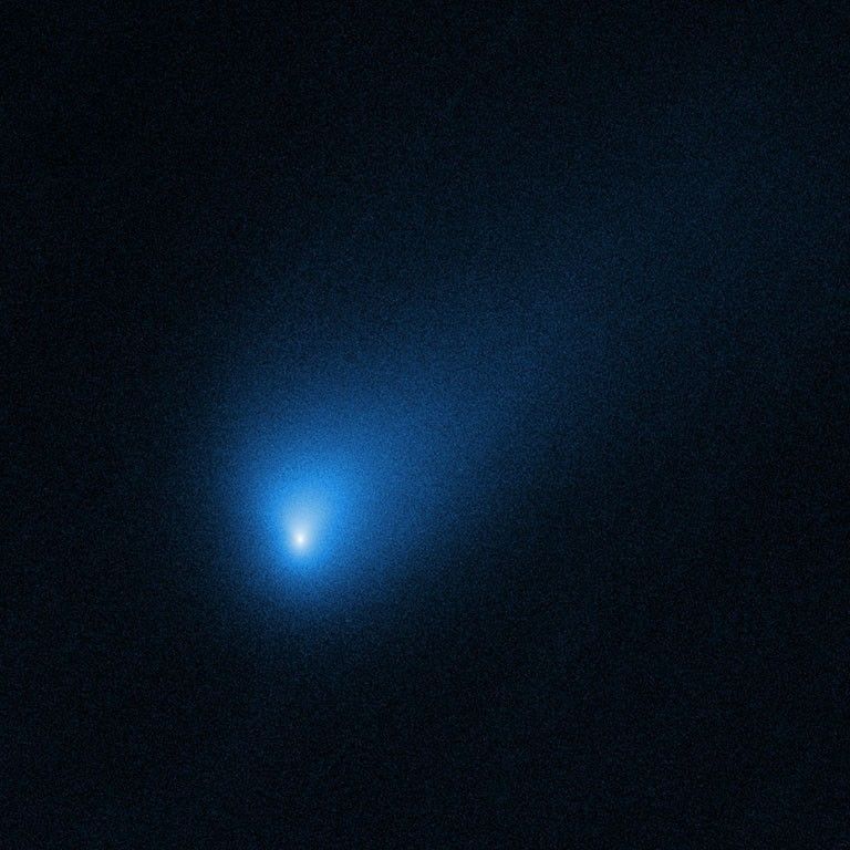 The comet Borisov