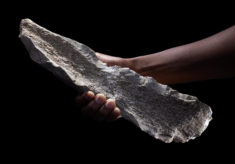 Bone Tool Shaped on a 1.5 Million Year Old Elephant Humerus