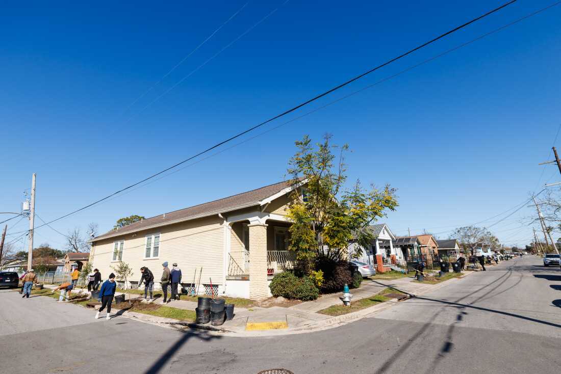 Volunteers planted trees in January in the Lower 9th Ward of New Orleans. Trees can help protect neighborhoods from extreme heat and air pollution.