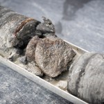 Ornithopod vertebra from the Denver Formation, from 763' of depth in the City Park core drilling in the parking lot at Denver Museum of Nature and Science.