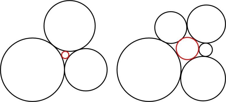 3 Flower and 5 Flower Circles