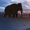 Scientists take a step closer to resurrecting the woolly mammoth