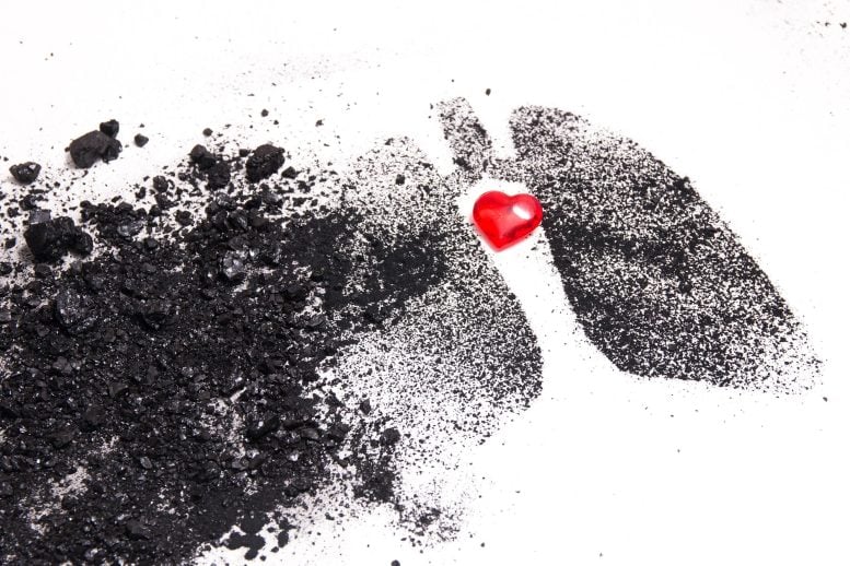 Smoke Pollution Lungs Health Heart Disease