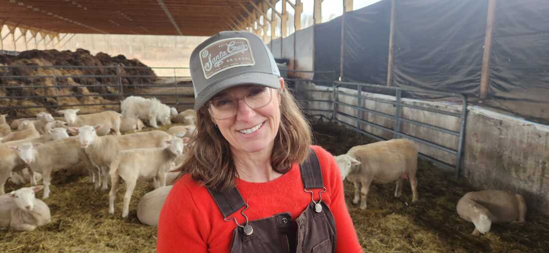 Kristin Kimball has grown her flock over the last decade from a dozen sheep to more than 250 animals. During lambing season, her day begins before dawn and ends long after dark, but she describes it as a joyous time.