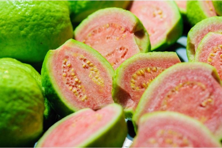 Guava