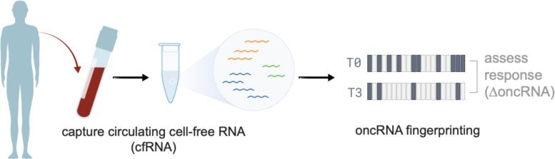 oncRNA-Based Liquid Biopsy